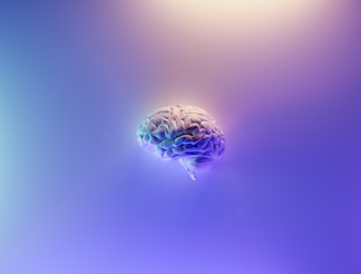 The Pathways of Neurogenesis: A Scientific Exploration of Brain Cell Regeneration